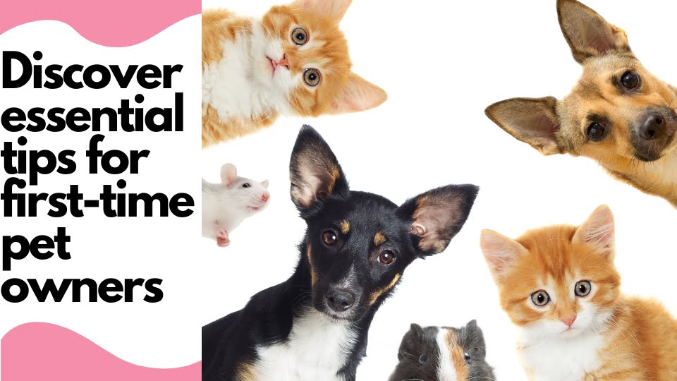 "Discover essential tips for first-time pet owners, including choosing the right pet, preparing your home, initial veterinary care, pet nutrition, training, and more."